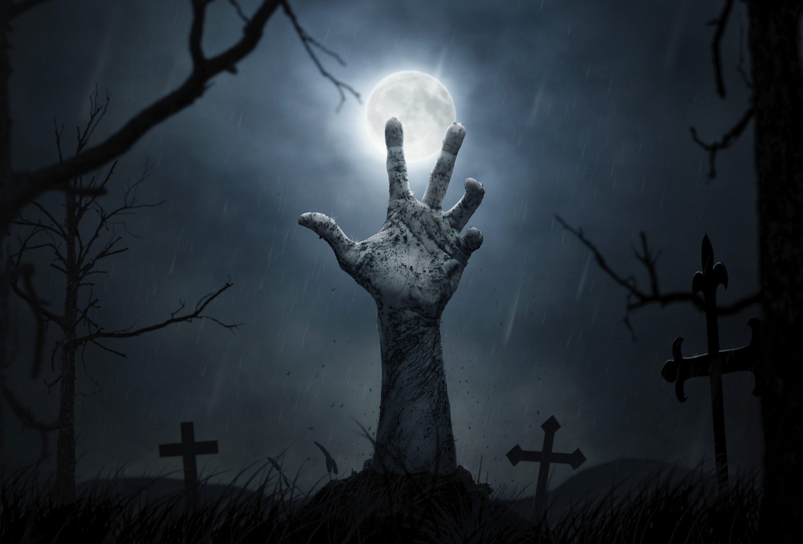 The 7 Best Zombie Movies of All Time Pop Culture Maniacs The 7 Best Zombie Movies of All Time Pop Culture Maniacs