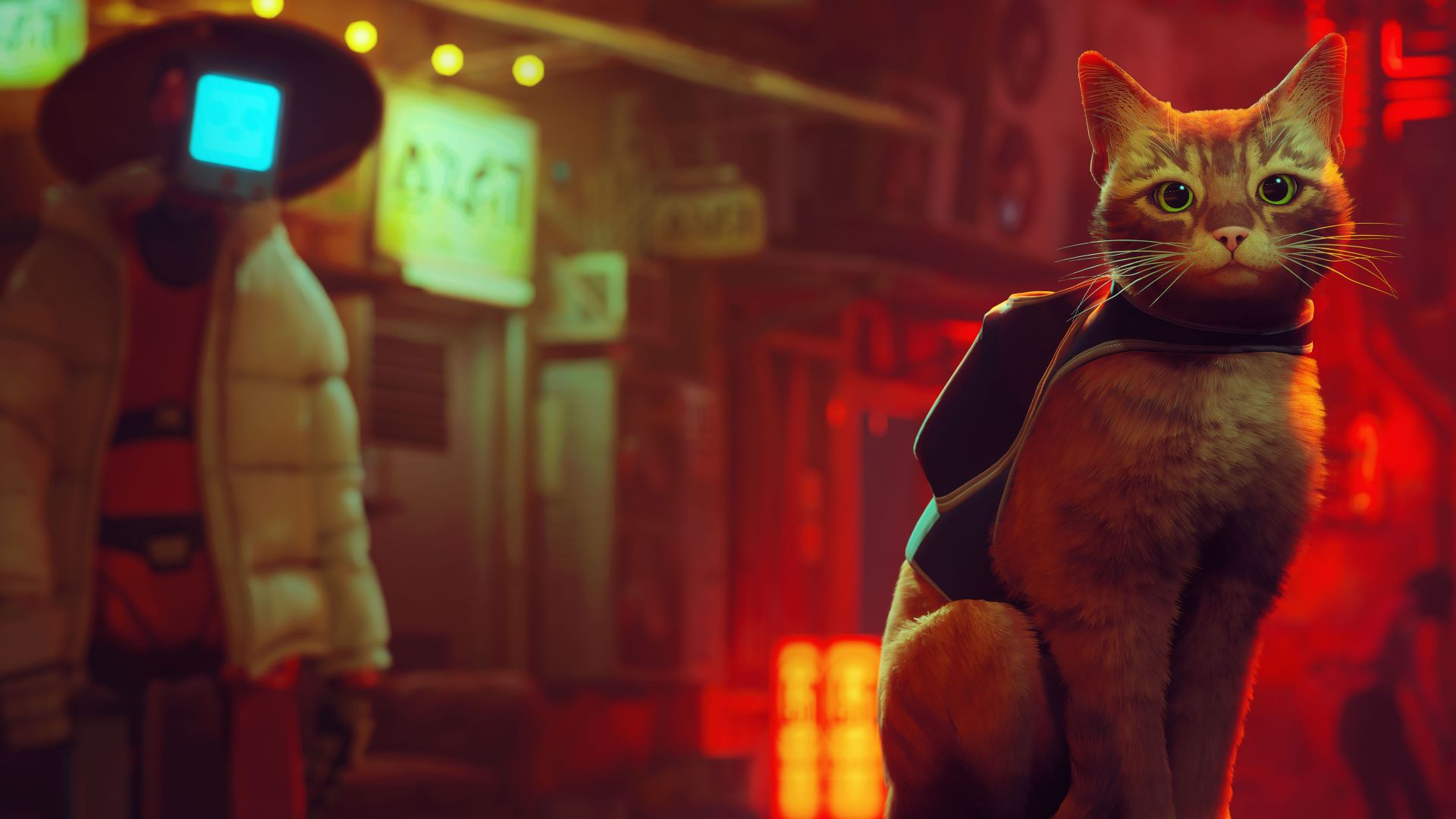 Stray (Xbox) Review - Pop Culture Maniacs